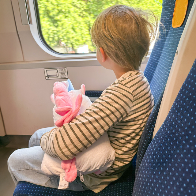 Poduszka Podróżna Jednorożec