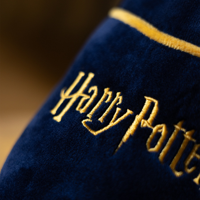 Herrenhausschuhe Harry Potter