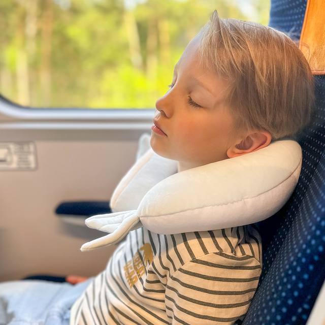 Poduszka Podróżna Delfin