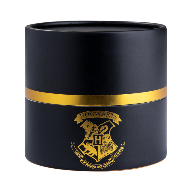 Skarpetki w Tubie Harry Potter