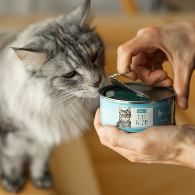 SOXO men's women's socks cat in a can