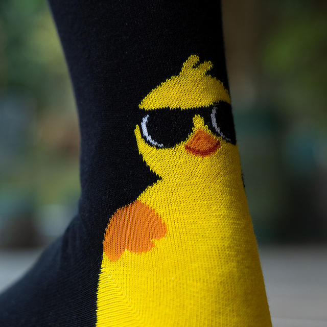 Chicken Greeting Card Socks