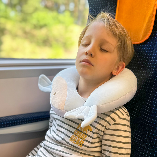 Poduszka Podróżna Delfin