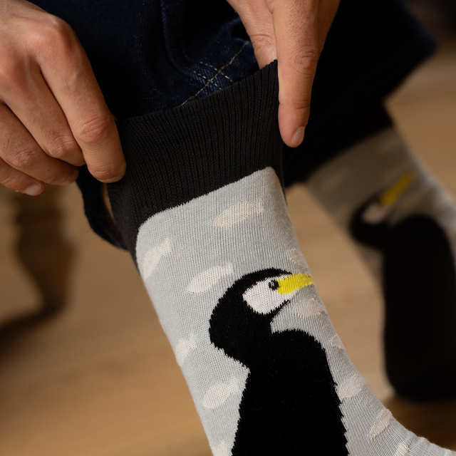 1 Paar von lustige Socken mit Vogel | Herrensocken | SOXO
