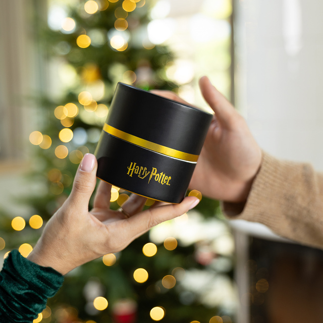 Socks in a tube with Harry Potter design