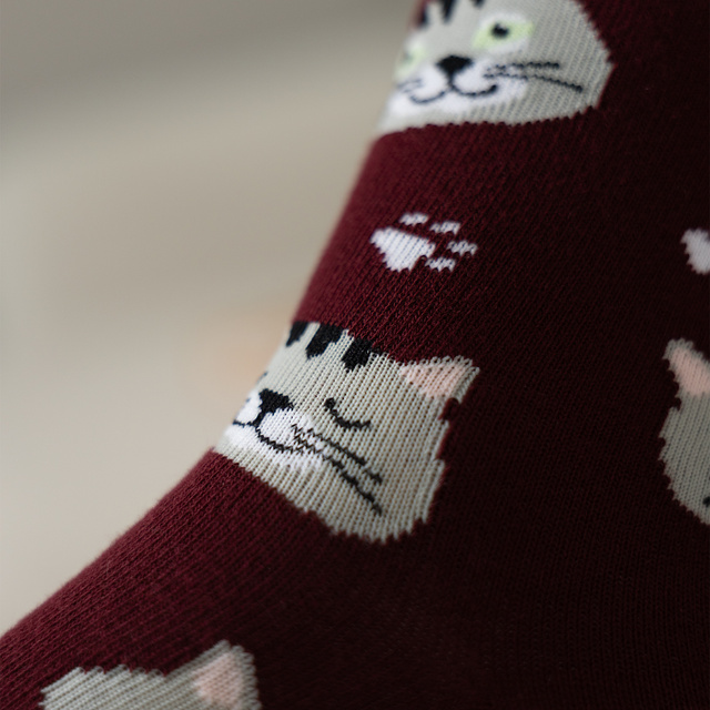 1 Paar von lustigen Socken mit Katzemotiv in einzigartiger Verpackung | Damen-/Herrensocken | SOXO