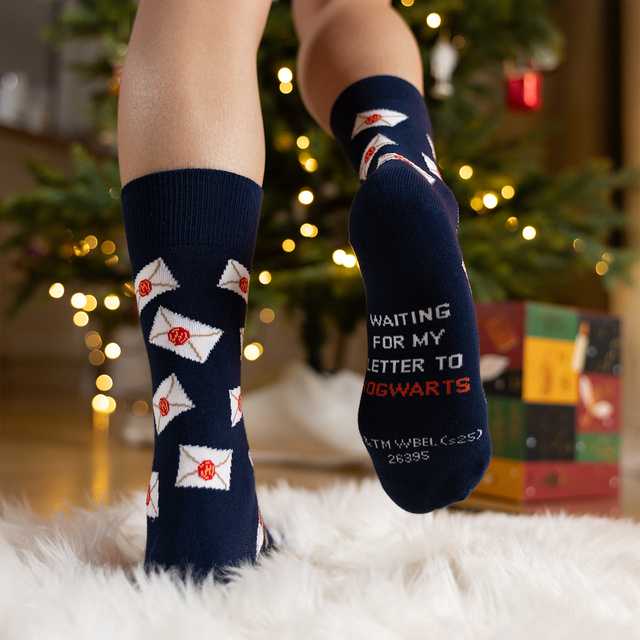 Zestaw Prezentowy ze Skarpetkami Harry Potter 24-pak