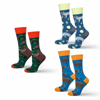 SOXO men's colorful socks nature polish - 3 pairs