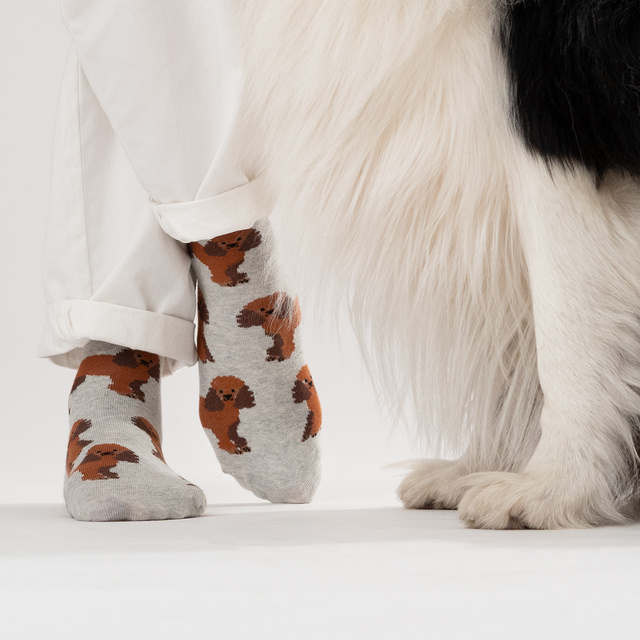 SOXO men's women's poodle socks in a can