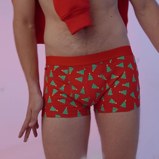 Set of 4x Christmas men's boxer shorts for Christmas, the perfect gift idea