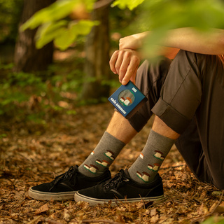 Skarpetki Król Borowik