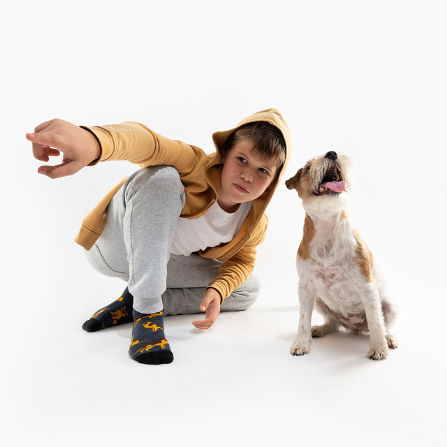 Skarpetki Psia Karma w Puszce