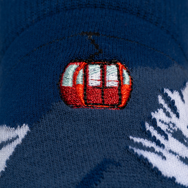 Skarpetki Narciarstwo 5-pak