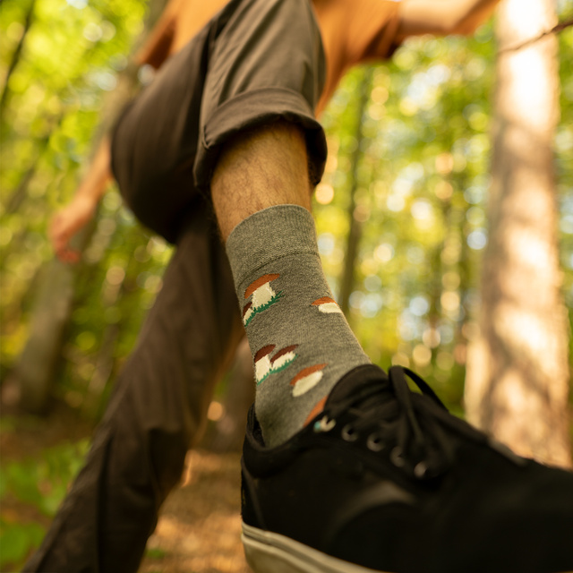 Skarpetki Król Borowik