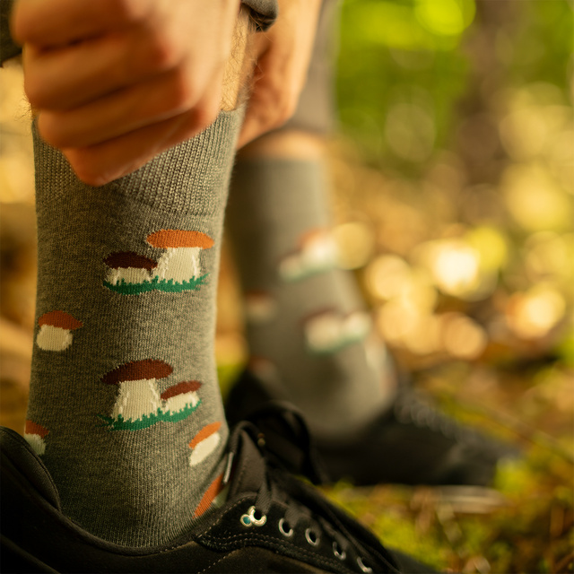 Skarpetki Król Borowik