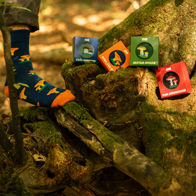 Skarpetki Rydz Jak Nic