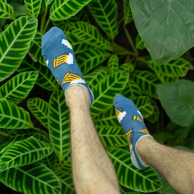 Set mit 3x bunten Kurze Herrensocken Bier + Fastfood | SOXO