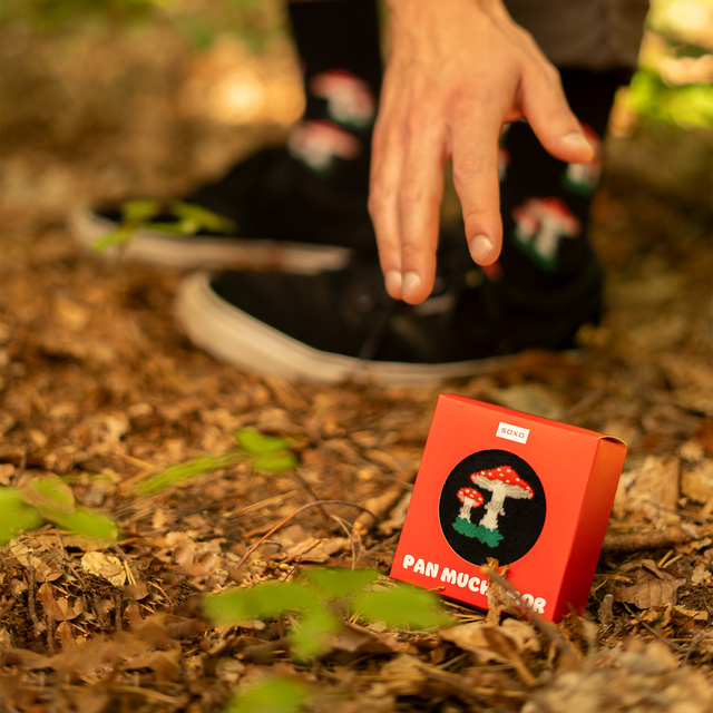 Skarpetki Pan Muchomor