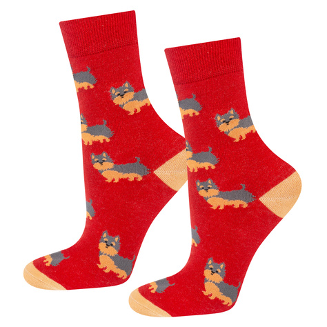 Women's socks | schnauzer