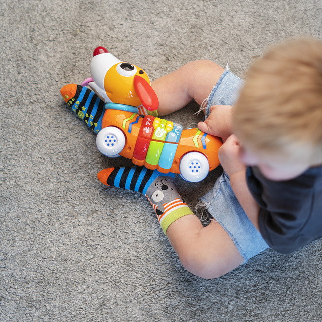 Skarpetki Dziecięce Zwierzaki 3-pak