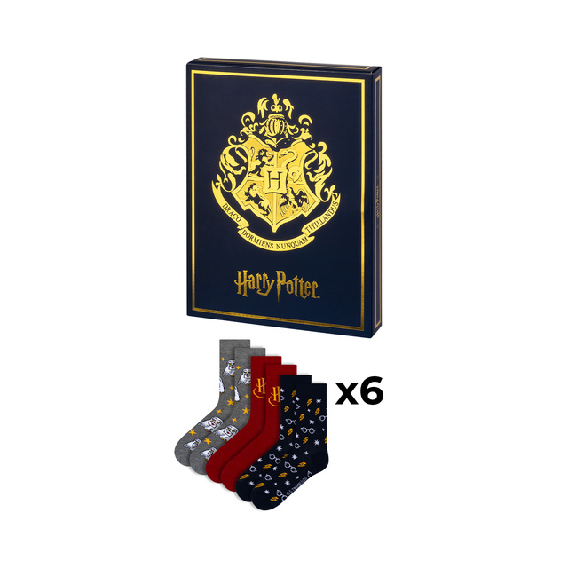Geschenkset mit Socken Harry Potter 6er-Pack