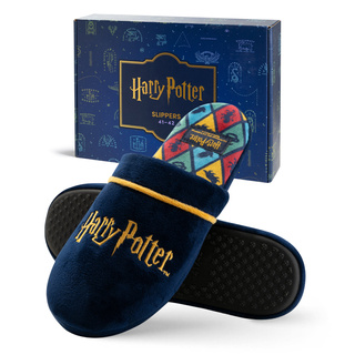 Harry Potter men's slippers