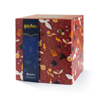 Kalendarz Adwentowy ze Skarpetkami Harry Potter 24-pak