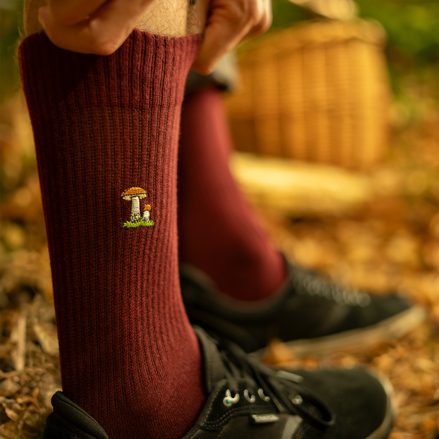 Skarpetki Grzybki 4-pak