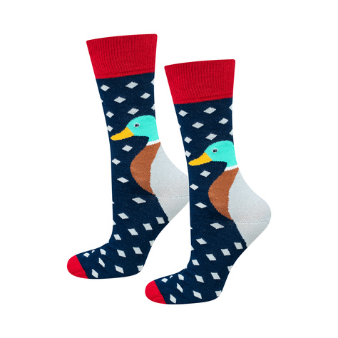 Men's colorful socks SOXO with a duck